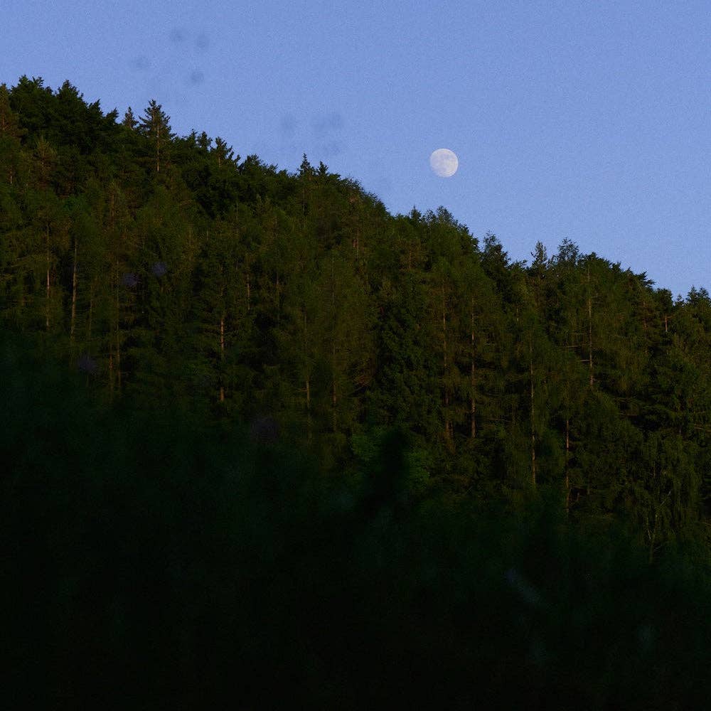 March - Wholesale Body Wash/Shower Gel - Botanical Hair & Body Wash2