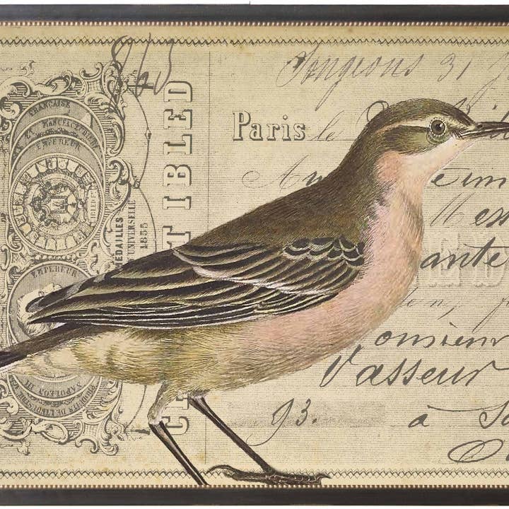 Uccello rosa e marrone su documento francese vintage per la vendita all'ingrosso da parte di Antique Curiosities Inc