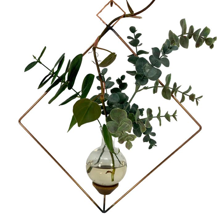 The Brass Butterfly - Wholesale Vase - Square Plant Propagation Rooting Vase0