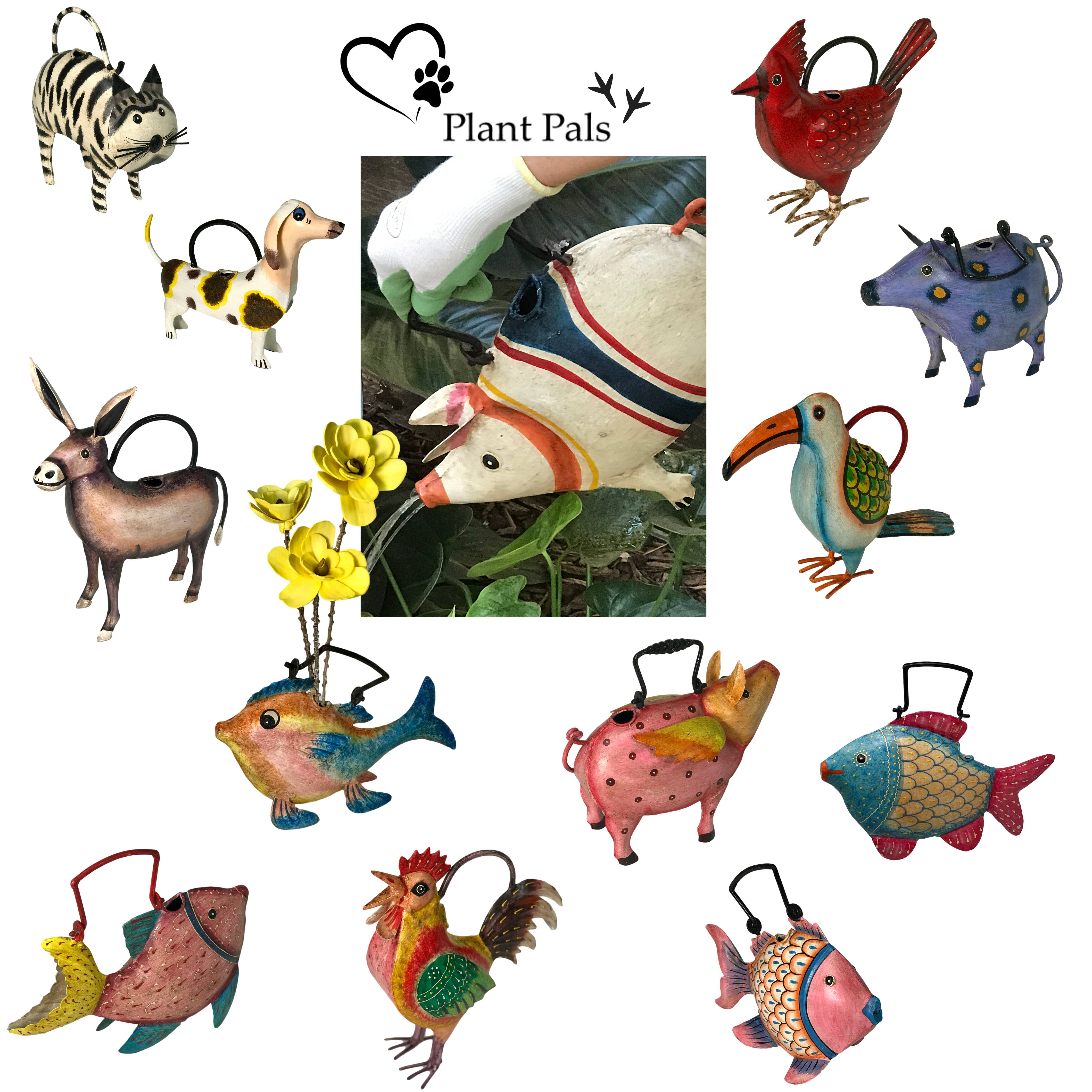 Wilco Home - Vente Arrosoirs - Patches The Pig Plant Pals Pals Can6