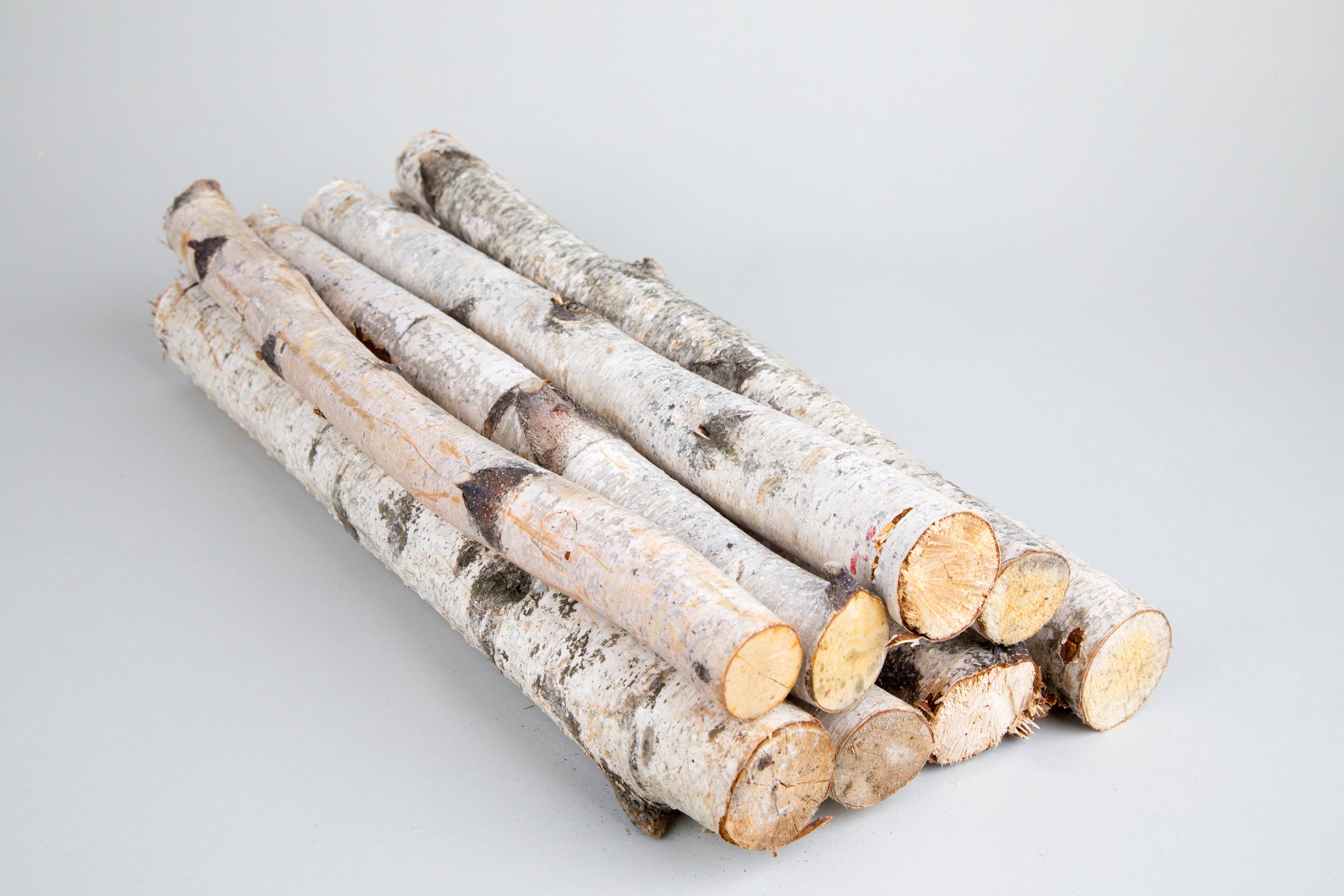 GS Foliage – Großhandel Bastelzubehör – Natürliche Birkenstämme 18–24 Zoll lang1