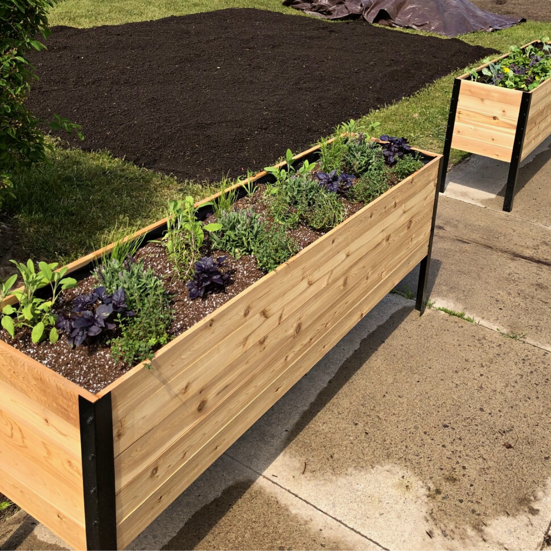 Cedar Planters - Wholesale Planter Box - 18" x 72" Raised Garden Bed8