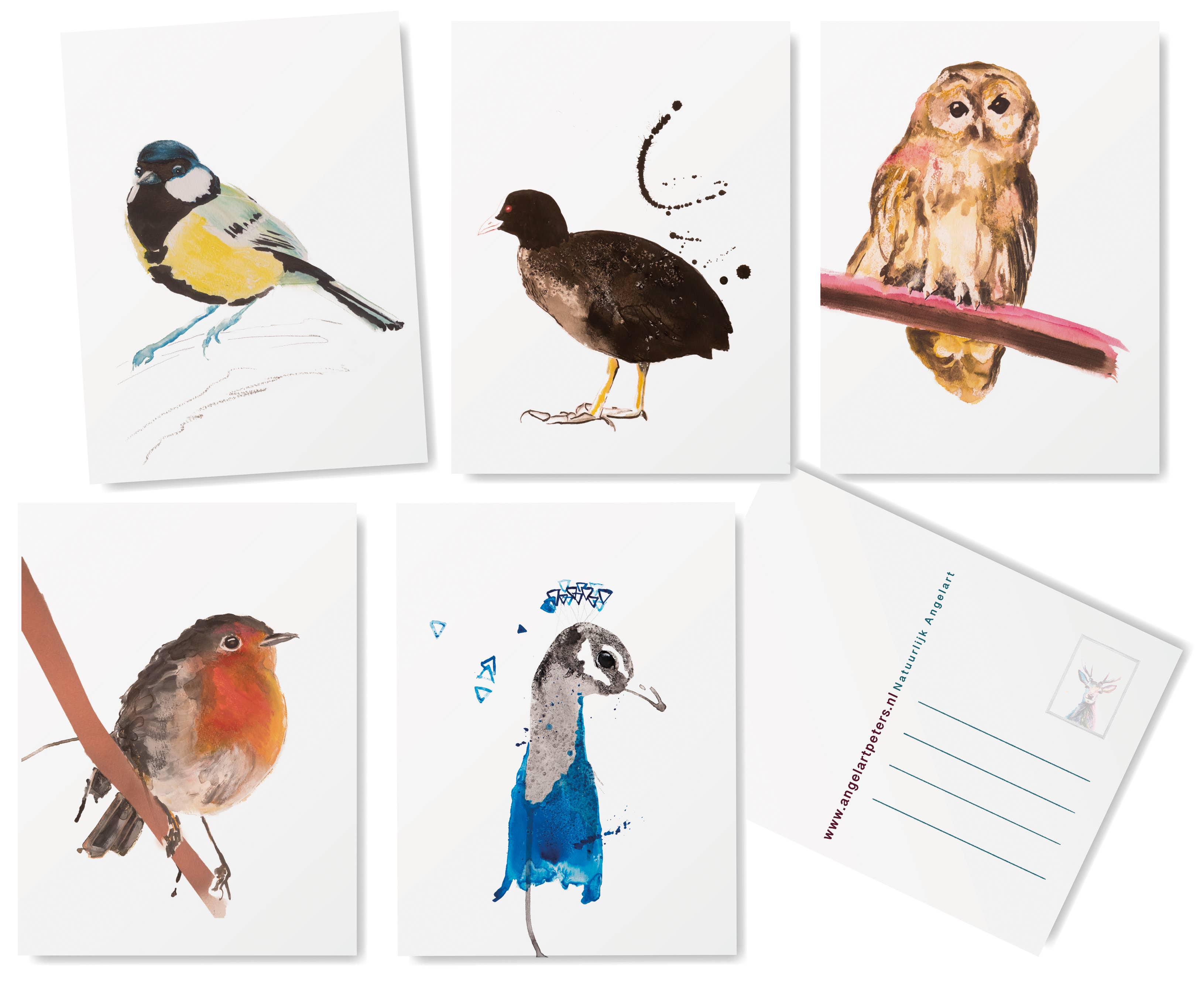 Studio Angelart - Wholesale Stationery/Notecard Set - Native Bird greeting cards set - 15 pieces1