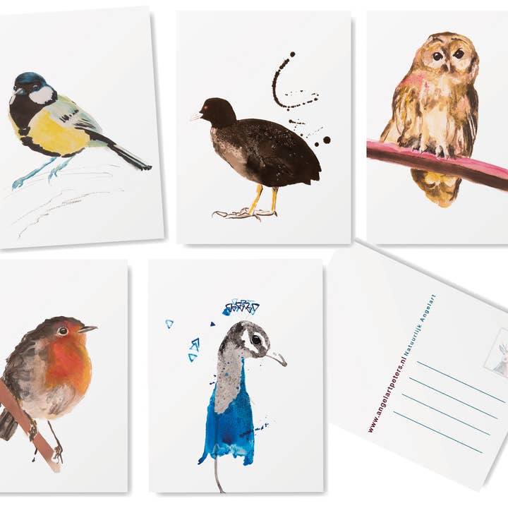 Studio Angelart - Wholesale Stationery/Notecard Set - Native Bird greeting cards set - 15 pieces1