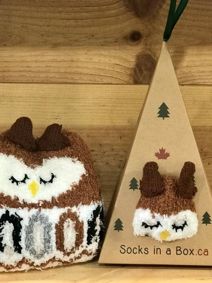 Calcetines de búho en caja para venta al por mayor de Socks In A Box