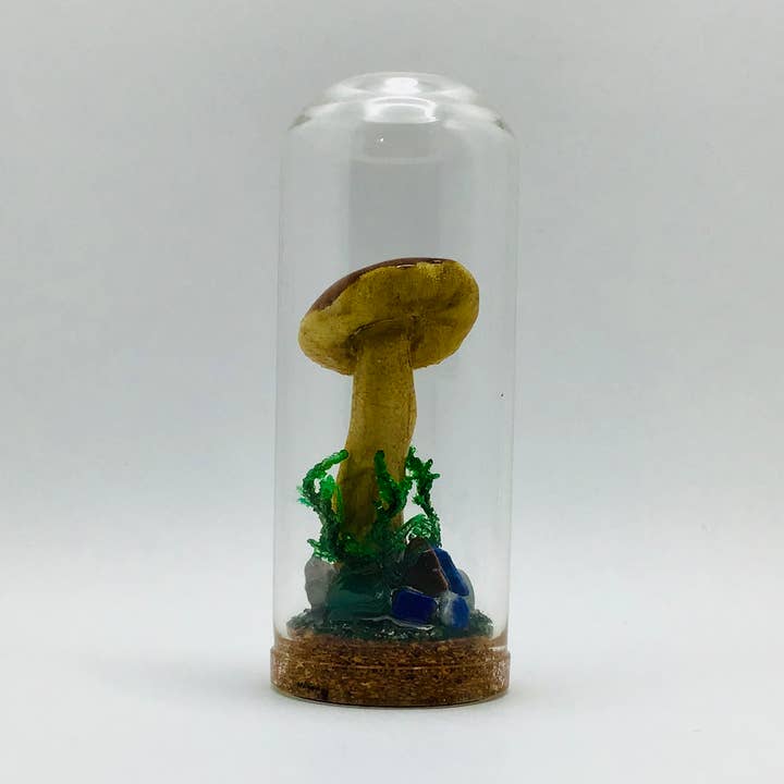 Barattolo di Curiosità con Funghi Veri 2,75" n. 611 per la vendita all'ingrosso da parte di Fungus Farm LLC