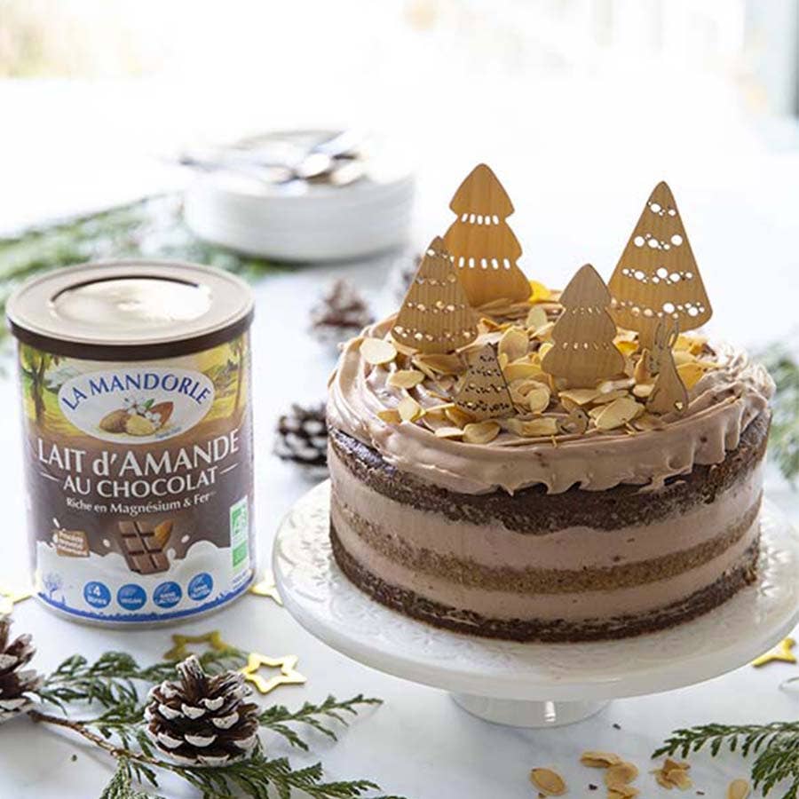 La Mandorle - Wholesale Powdered Health Drink - Almond Milk Organic Chocolate Powder3