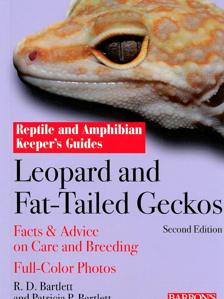Leopard and Fat-Tailed Geckos for wholesale by Sourcebooks