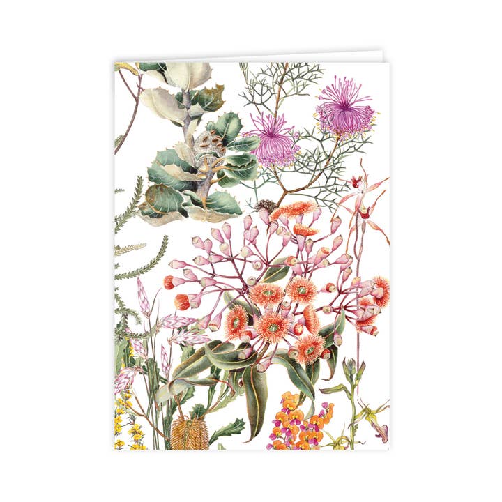 A6 Card: Wildflowers of the Albany Region 2 for wholesale by STUDIO NIKULINSKY