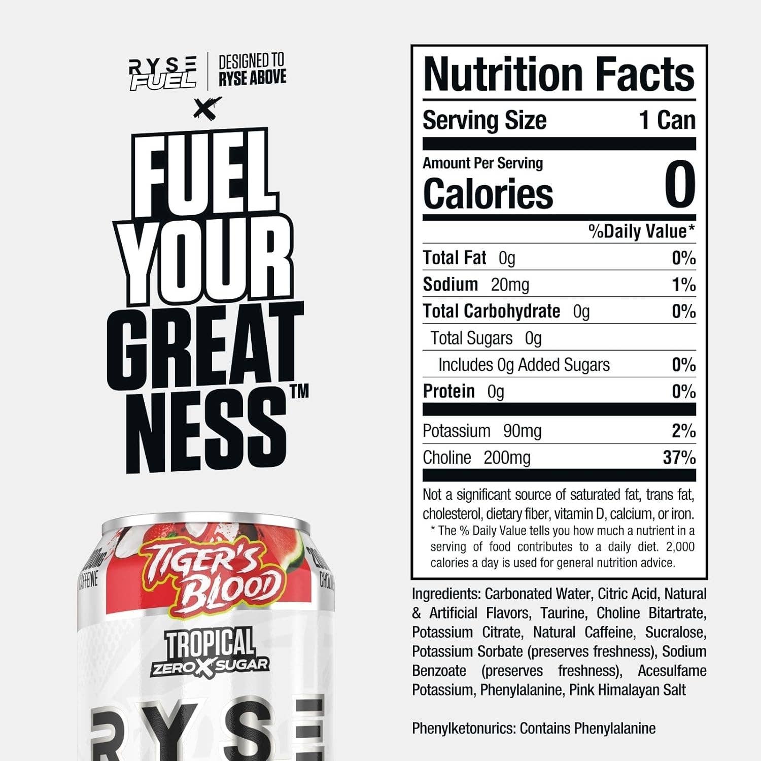 Campus Protein - Wholesale Sports/Energy Drink - RYSE Fuel Energy Drink13