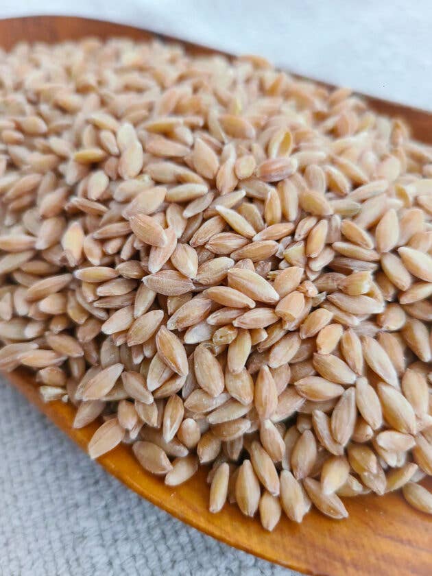 Bluebird Grain Farms - Wholesale Whole Grains - Organic Whole Grain Einkorn Berries - 25 lb1