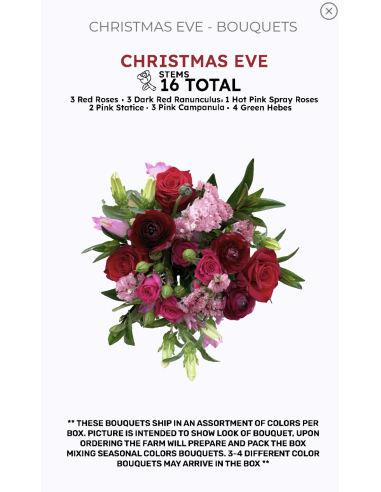 Florasource - Wholesale Fresh Cut Flowers - Premium pre made Christmas Bouquets 8 Bunches3