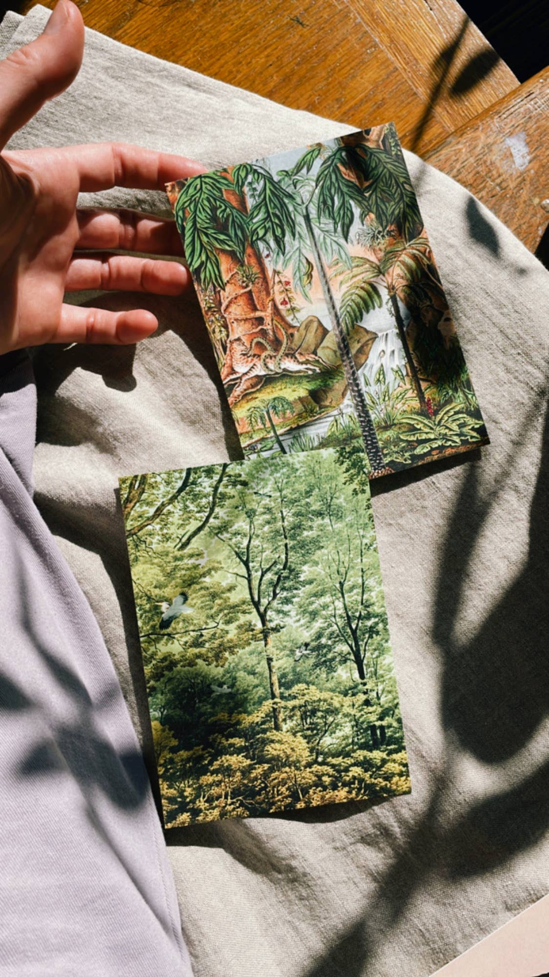 30x40 - Wholesale Postcard - Golden Age Postcard5