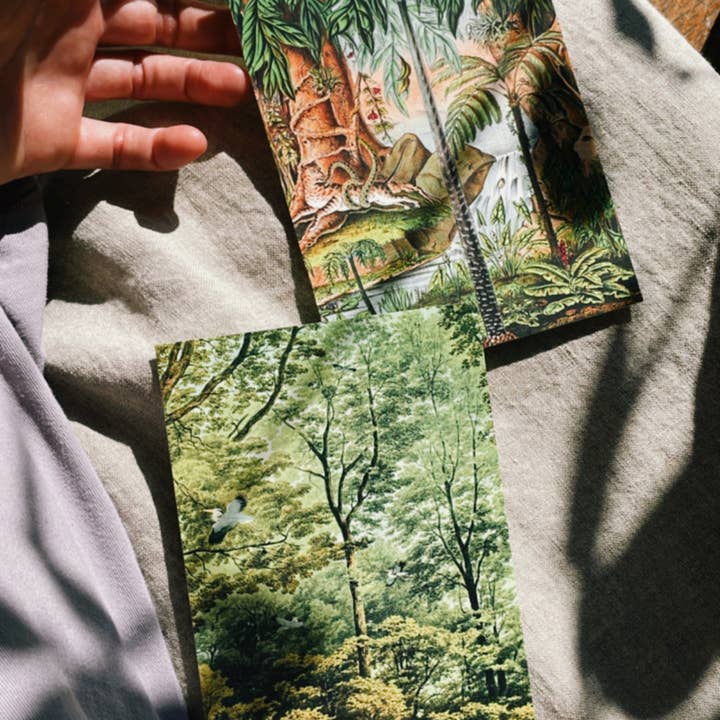 30x40 - Wholesale Postcard - Golden Age Postcard5