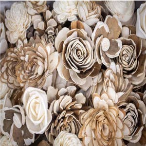 Purchase Wholesale dried plants. Free Returns & Net 60 Terms on Faire
