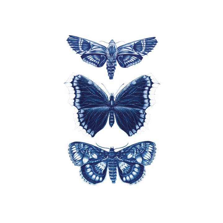 Tattly - Wholesale Temporary Tattoo - Sapphire Moths Tattoo Pair