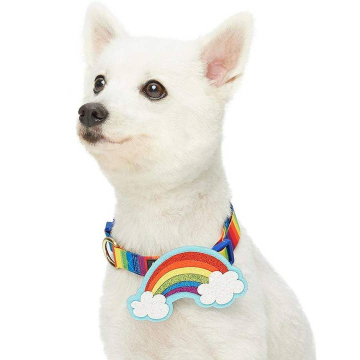 Blueberry Pet - Wholesale Pet collar – Dog - The Perfect Rainbow Dog Collar2