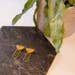 Copper Bee - Wholesale Dangle Earrings - Colour and Brass Geometric Earrings