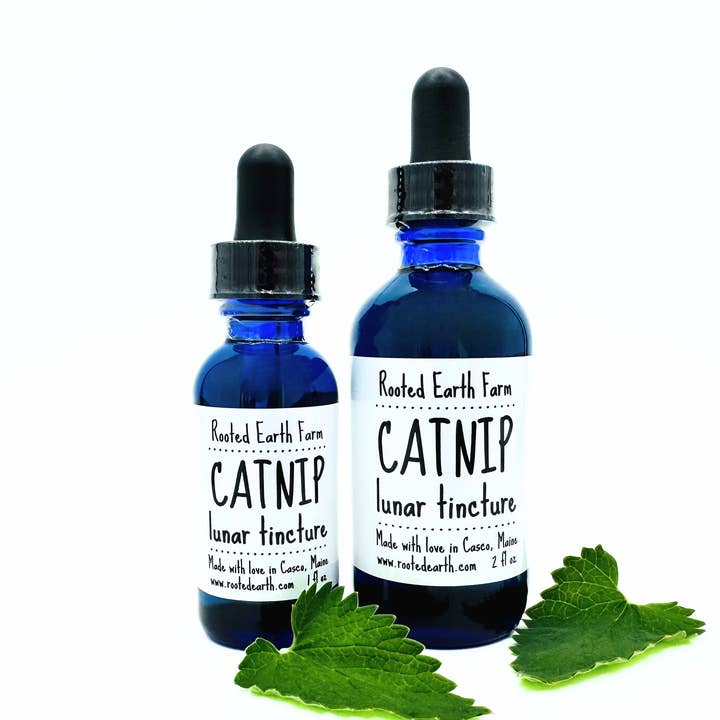 Catnip Tincture - 2 Size Options for wholesale by Rooted Earth Farm + Apothecary