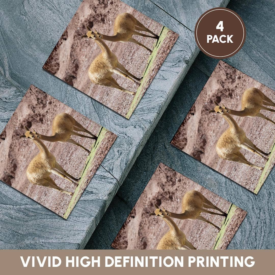 3dRose - Wholesale Coasters - 3dRose, Vicuna in the Altiplano of Argentina near Tolar Grande., Coaster5