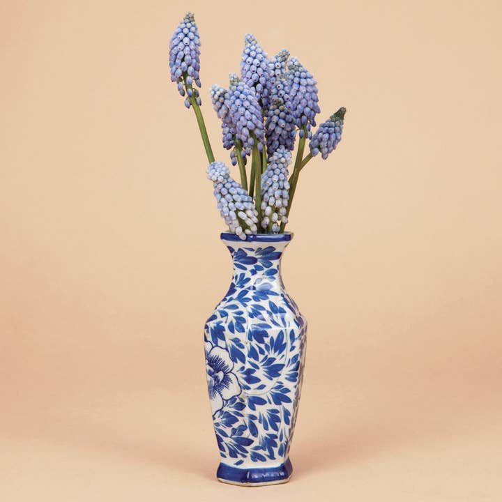 Muscari Valerie Finnis for wholesale by Plantgem