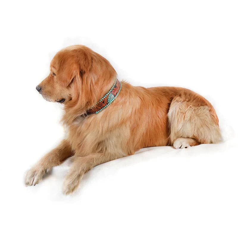 MYRA - EU – Großhandel Haustierhalsband – Hund – MYRA Full Bloom handgearbeitetes Leder-Hundehalsband3