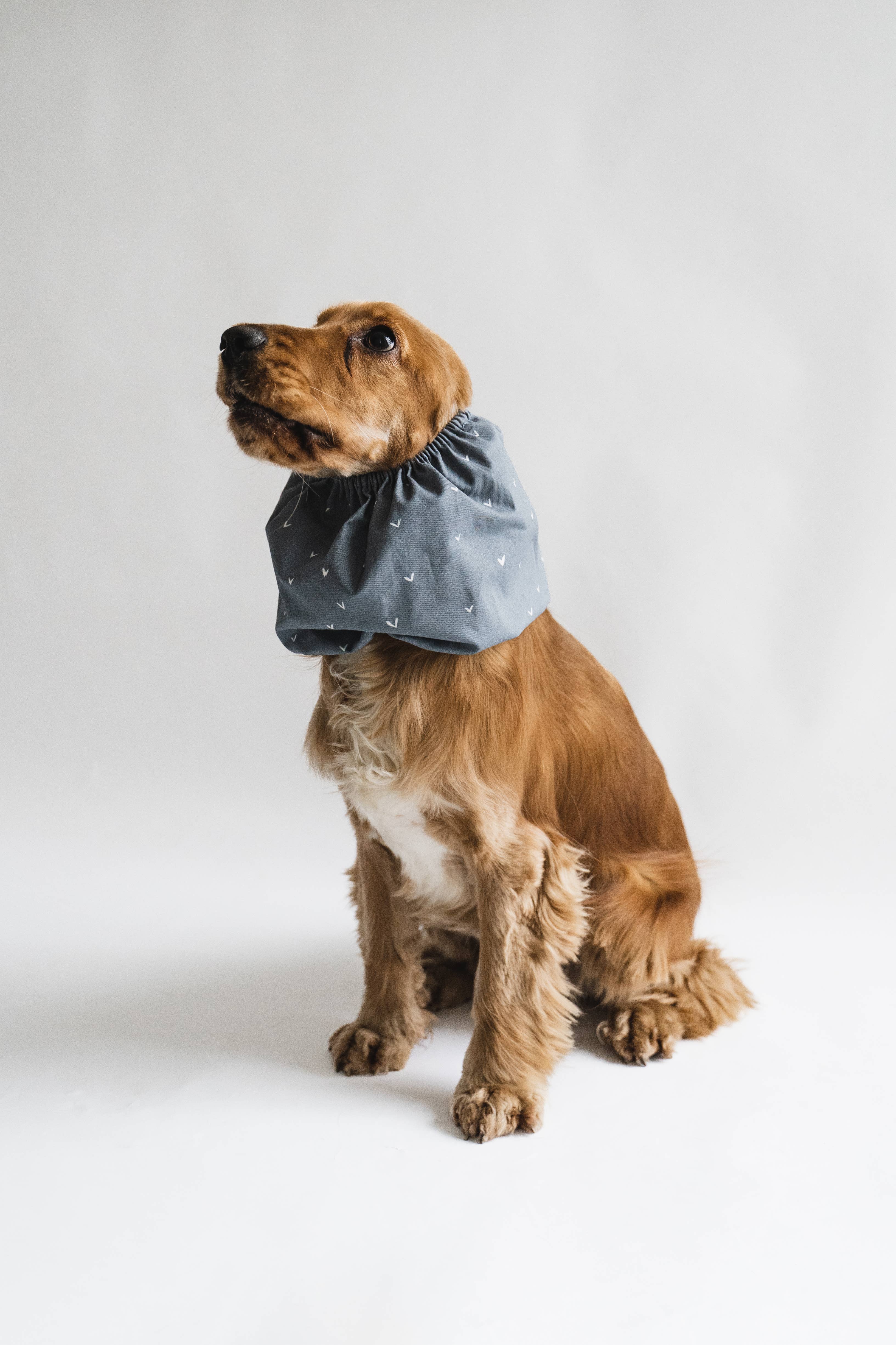 Dog Snood Navy Blue for wholesale on Faire