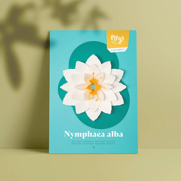 Today is Art Day - Wholesale DIY Craft Kit - White Waterlily - Flower 3D Pop-Up Figure by Plego