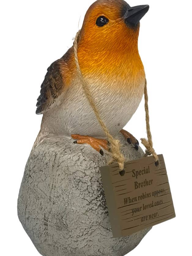 DF19792-J for wholesale by David Fischhoff Ltd