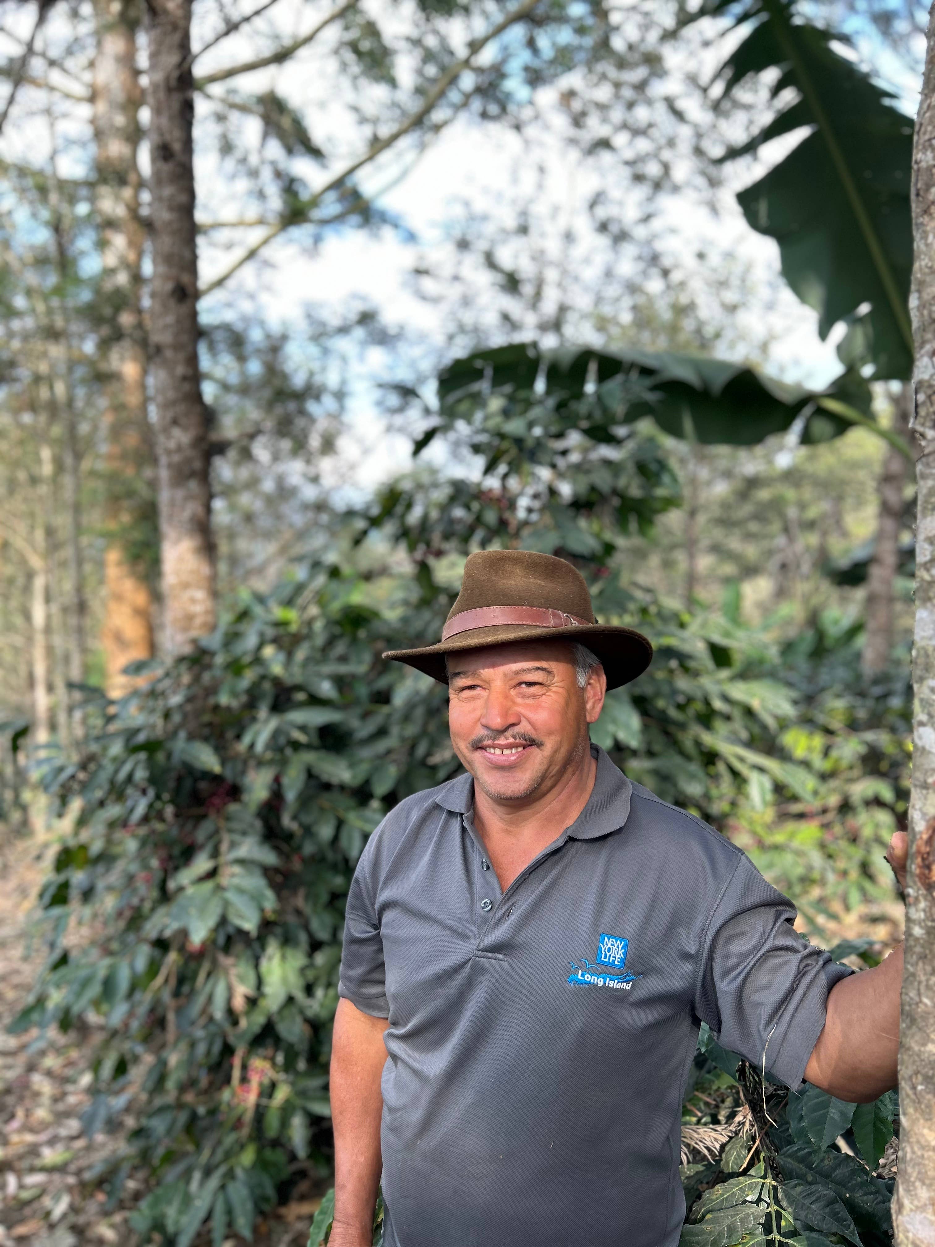 Yours Truly - Wholesale Coffee Beans - The Golden Lamp - Medium Roast Coffee in 300g and 5lbs3