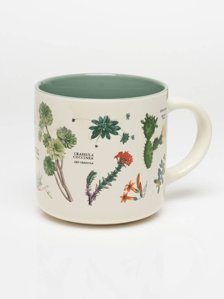 Succulents Ceramic Mug (Case of 4) for wholesale by Cognitive Surplus