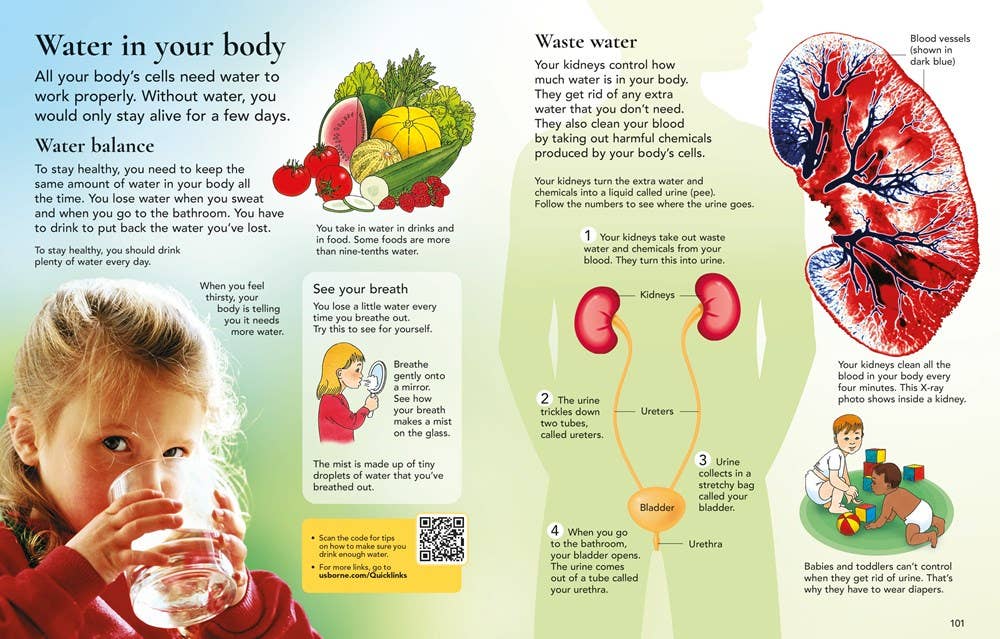 HarperCollins - Wholesale Reference Book - Usborne Children's Encyclopedia : Usborne2