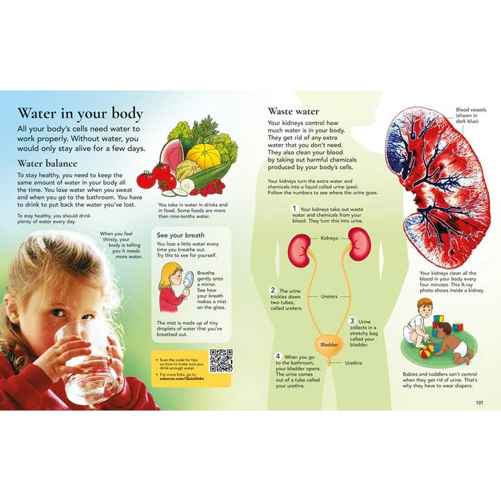 HarperCollins - Wholesale Reference Book - Usborne Children's Encyclopedia : Usborne2