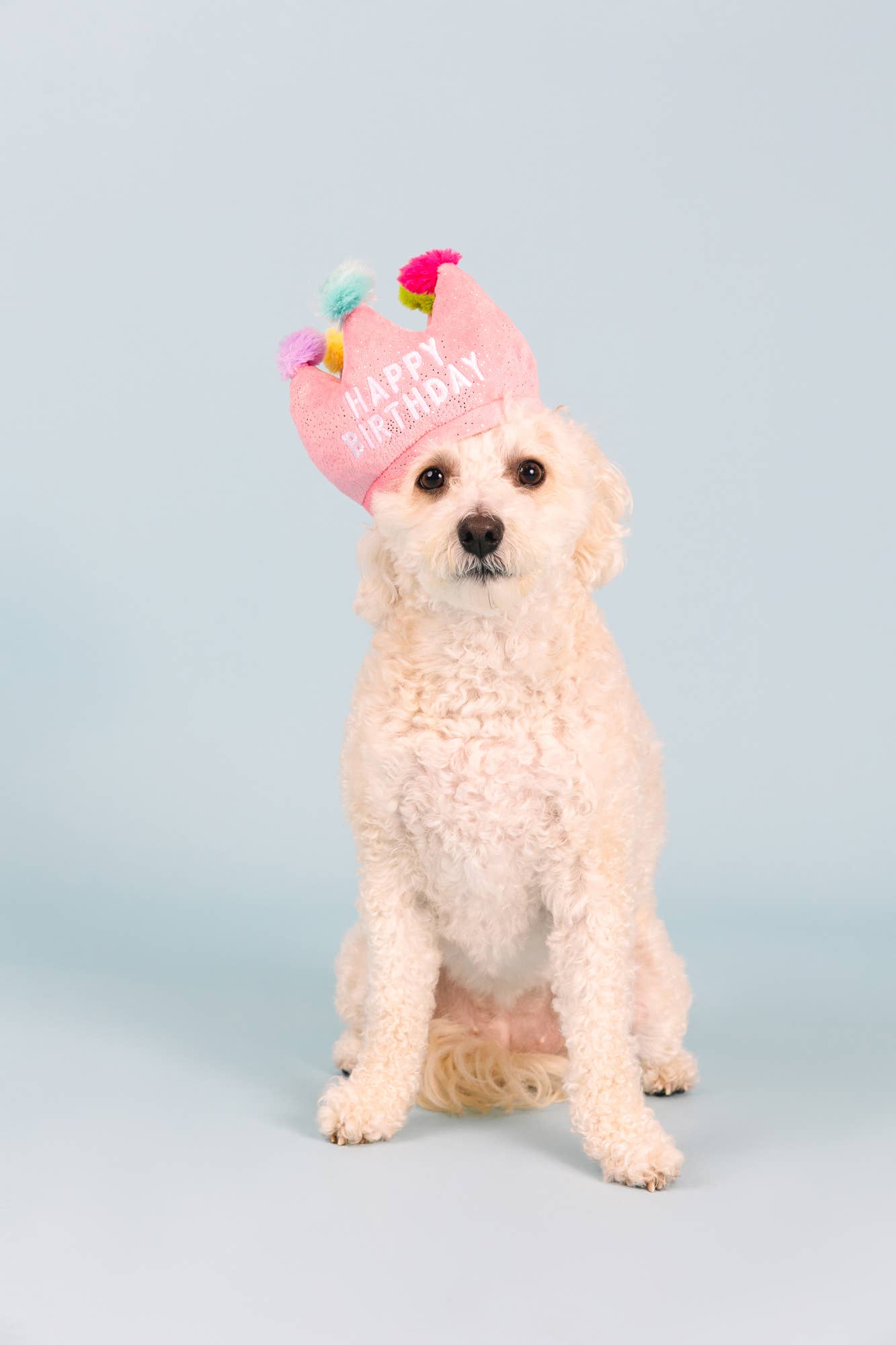 Petshop by Fringe Studio - Wholesale Pet Toy - Dog - IF THE CROWN FITS2