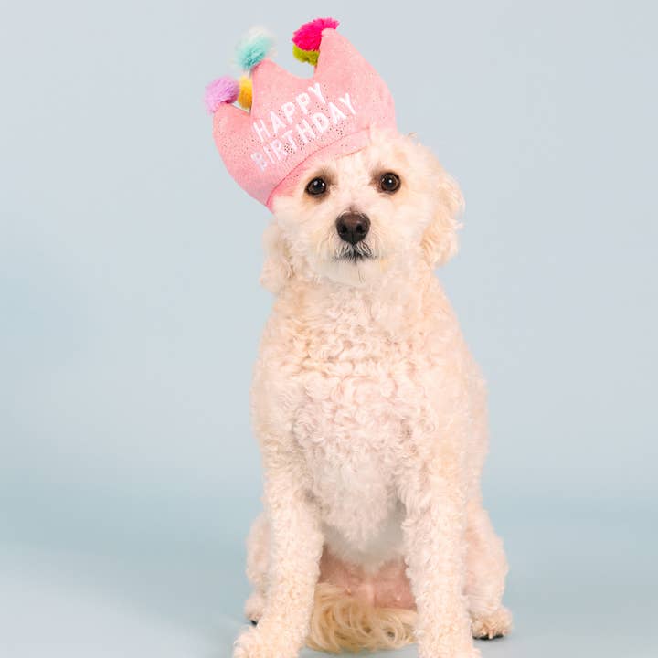 Petshop by Fringe Studio - Wholesale Pet Toy - Dog - IF THE CROWN FITS2