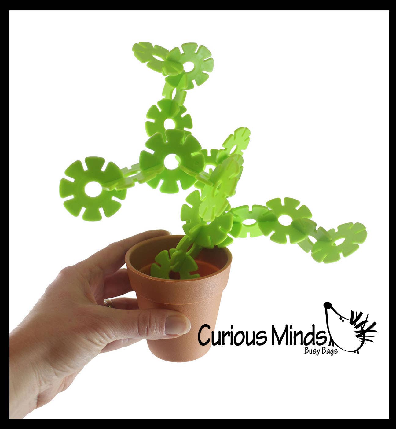 Curious Minds Toys – wholesale Building set – Child – Succulant Sculpture Cactus Connecting Shapes Building Set -3