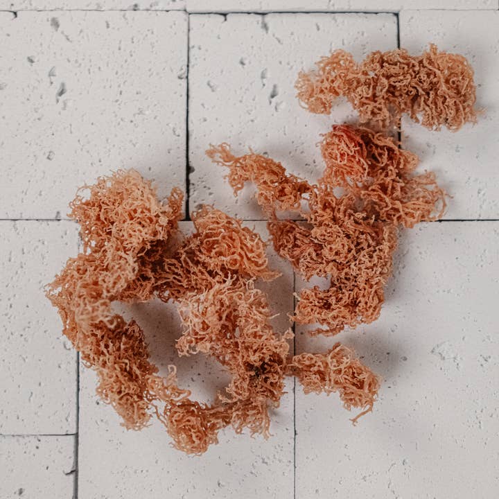 Samadhi Moss - Wholesale Oral Supplement/Vitamin - Euchema Isformis Sea Moss1