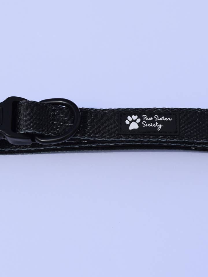 Cruella's life collar for wholesale by Pawsistersociety