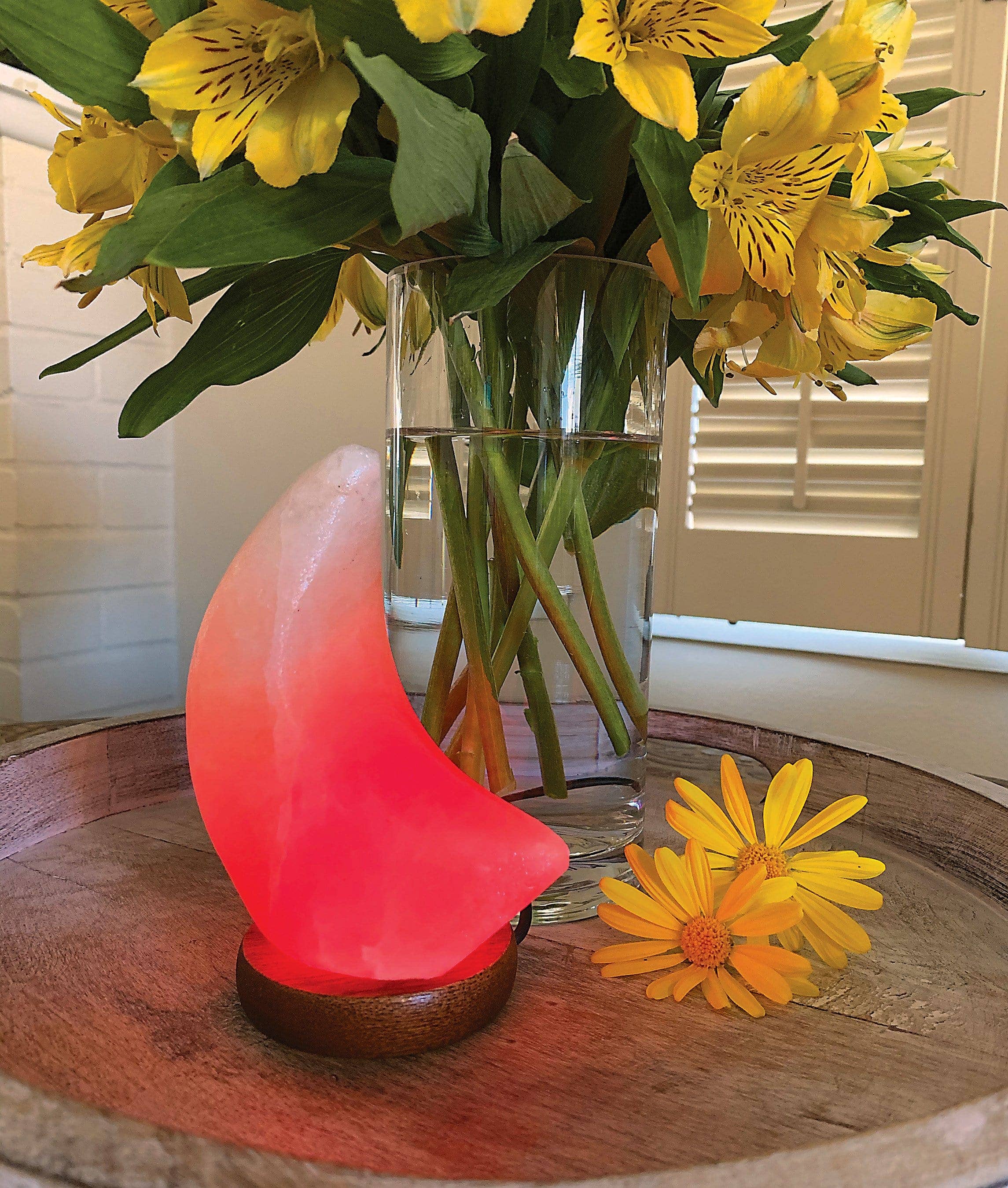 Rock Paradise - Wholesale Salt Lamp - Crystal Himalayan Salt Lamp Moon Light Polished Stone7