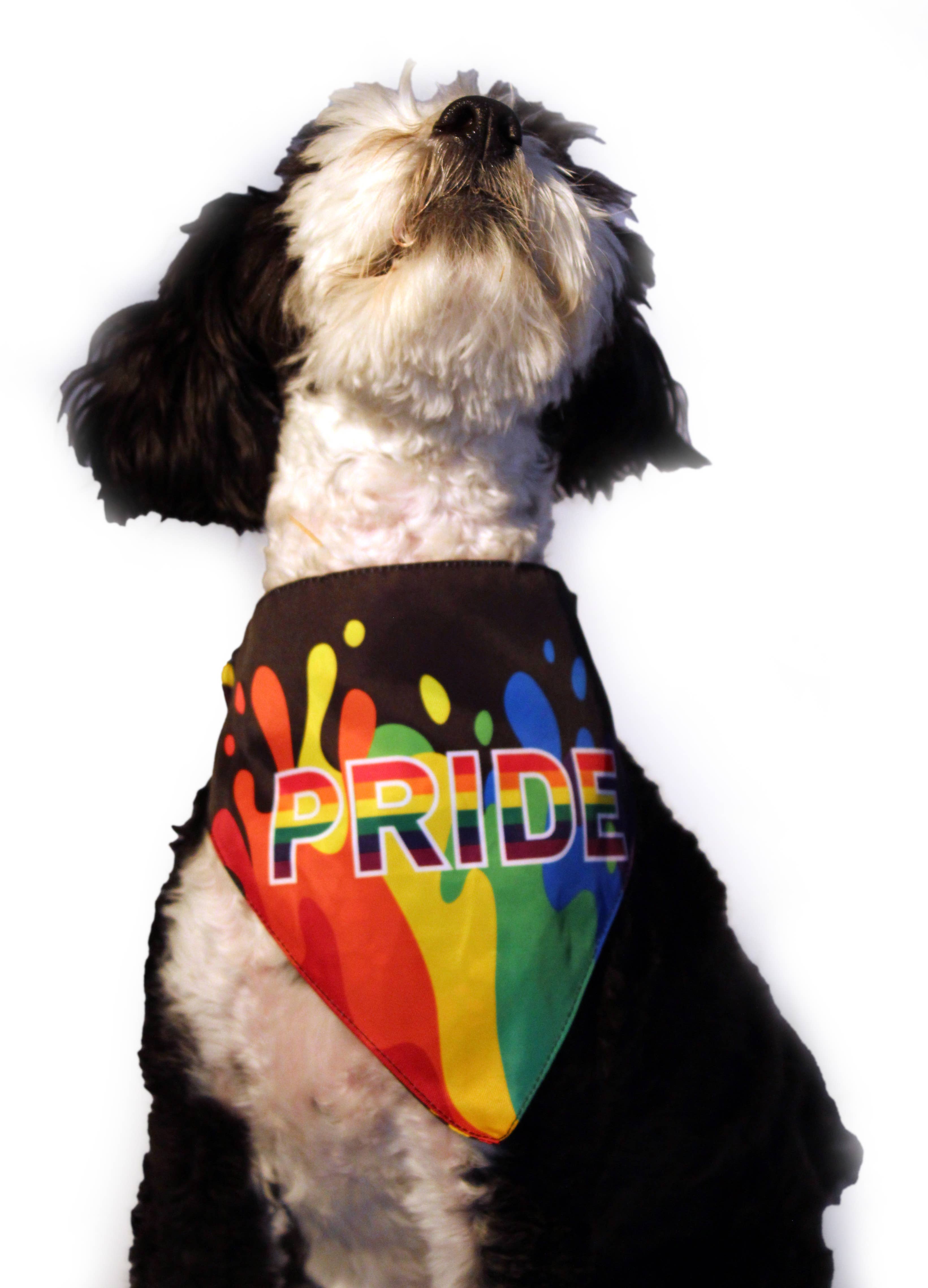 Barker's Bowtique - Wholesale Pet Bandana - Dog - HIP DOGGIE PRIDE DOG BANDANA3