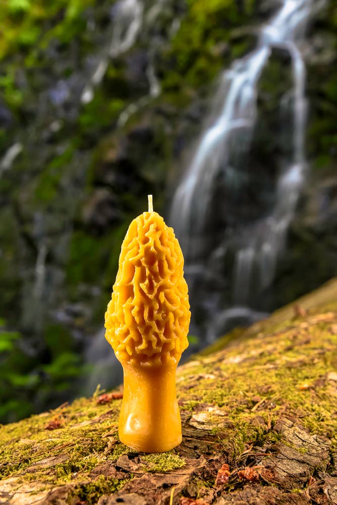 Waxing & Raining Handmade Goods - Vendita all'ingrosso Candele regalo - Candele a forma di fungo morchelle in pura cera d’api | Candela non tossica3