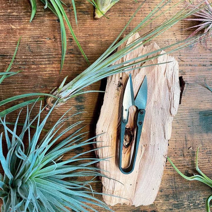 Seattle Seed Co. - Wholesale Garden Tool - Herb Snips - Gardening Tool - Spring Summer Fall Gift3