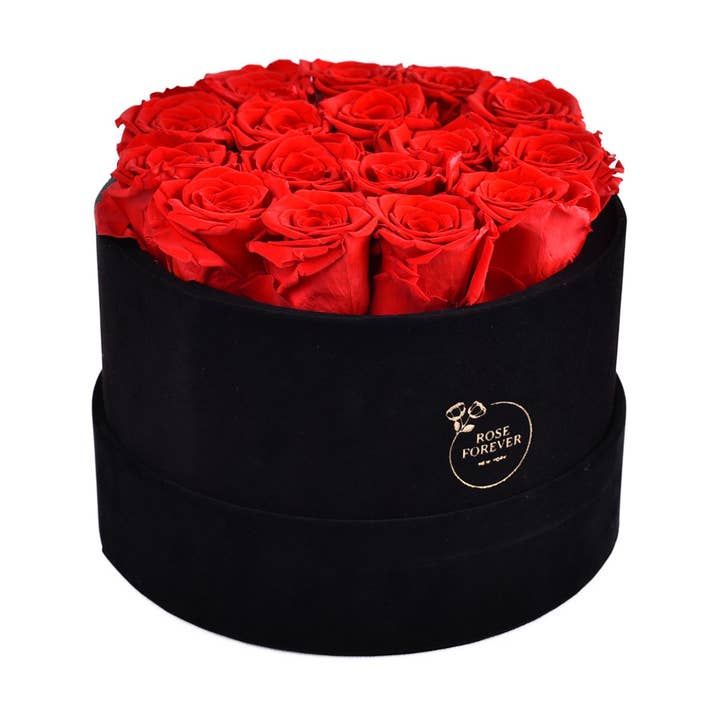 Rose Forever - Wholesale Dried/Pressed Flowers - 16 Red Roses Black Velvet Eternity Roses Box