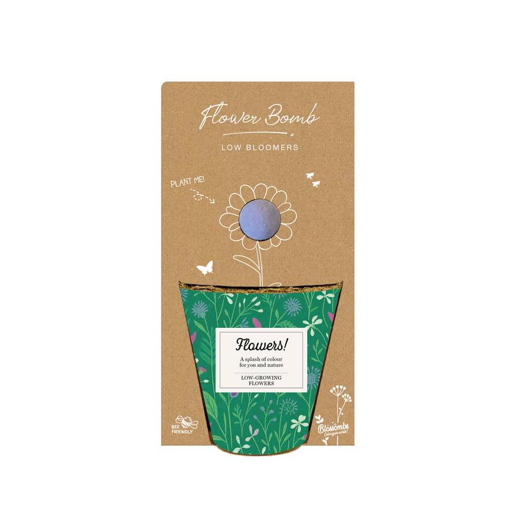 Blossombs - Wholesale Plant Seeds - Grow Kit “Flowers” – Pot Flowers Mix (1 Seed Bomb)0