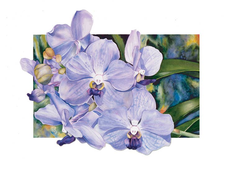 Allport Editions – wholesale Alla hjärtans dag-kort – Vanda Rothschild Valentine0