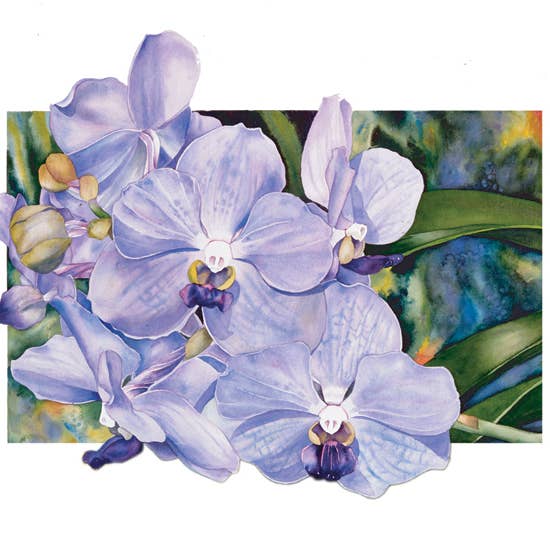 Allport Editions – wholesale Alla hjärtans dag-kort – Vanda Rothschild Valentine