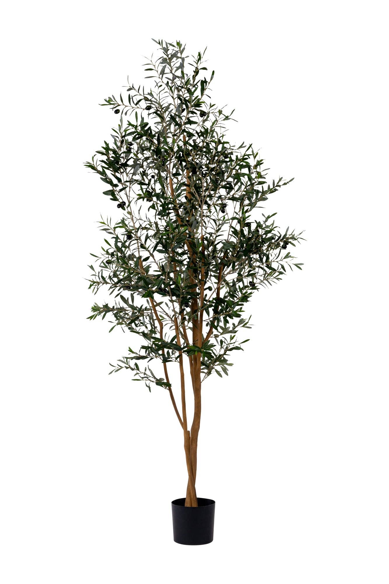 Wholesale 7' Olive Tree FP1141 for your store - Faire