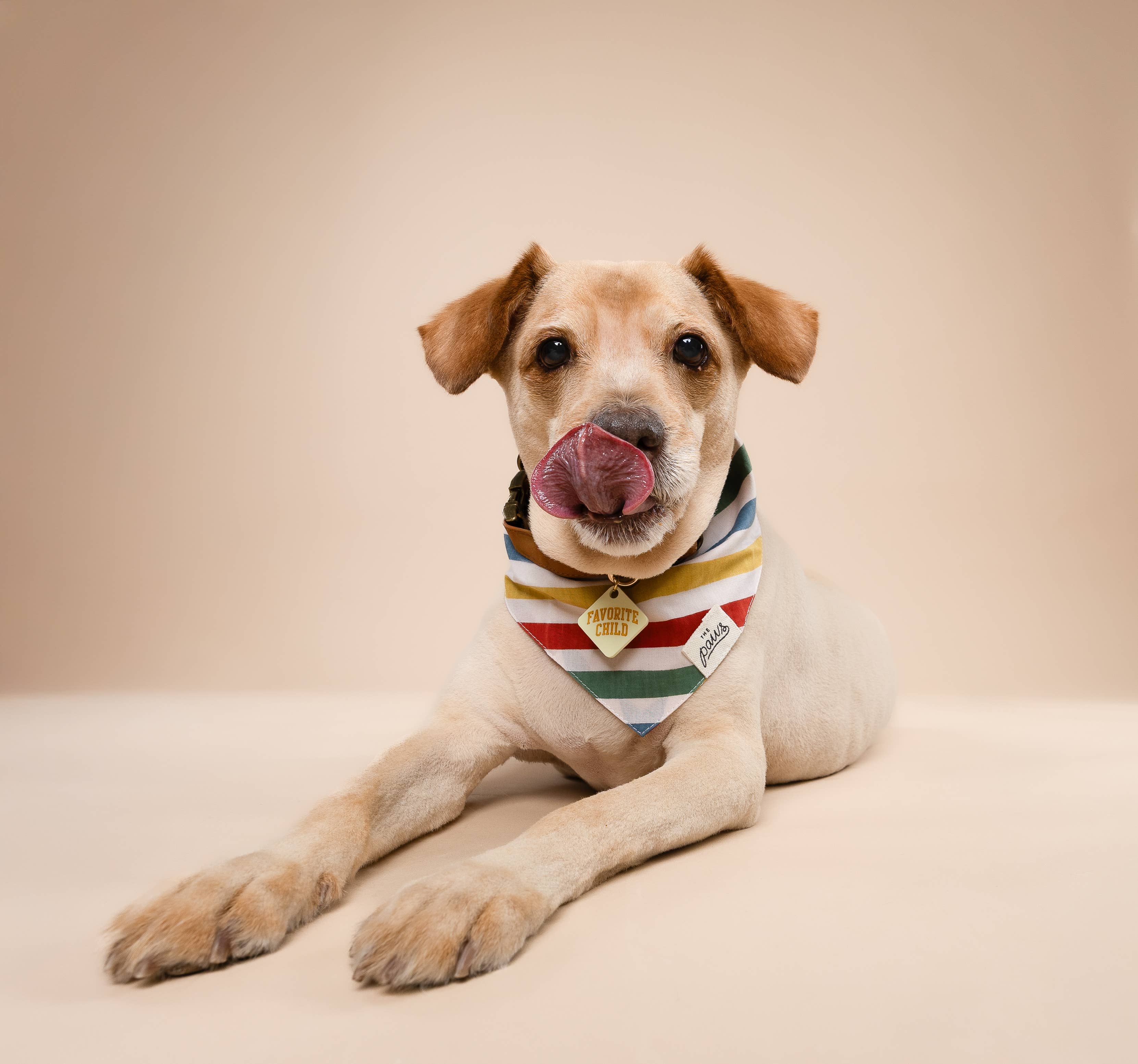 The Paws - Wholesale Pet Bandana - Dog - Frontier Dog Bandana3