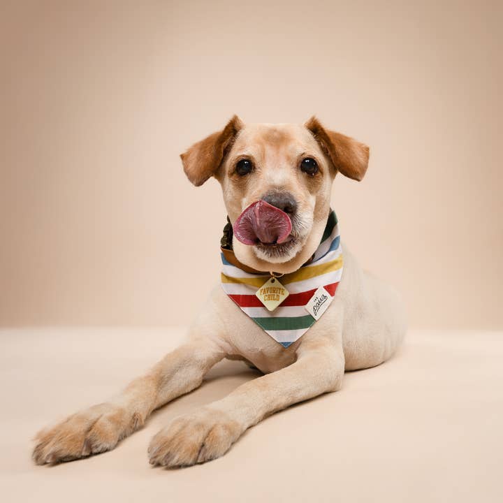 The Paws - Wholesale Pet Bandana - Dog - Frontier Dog Bandana3