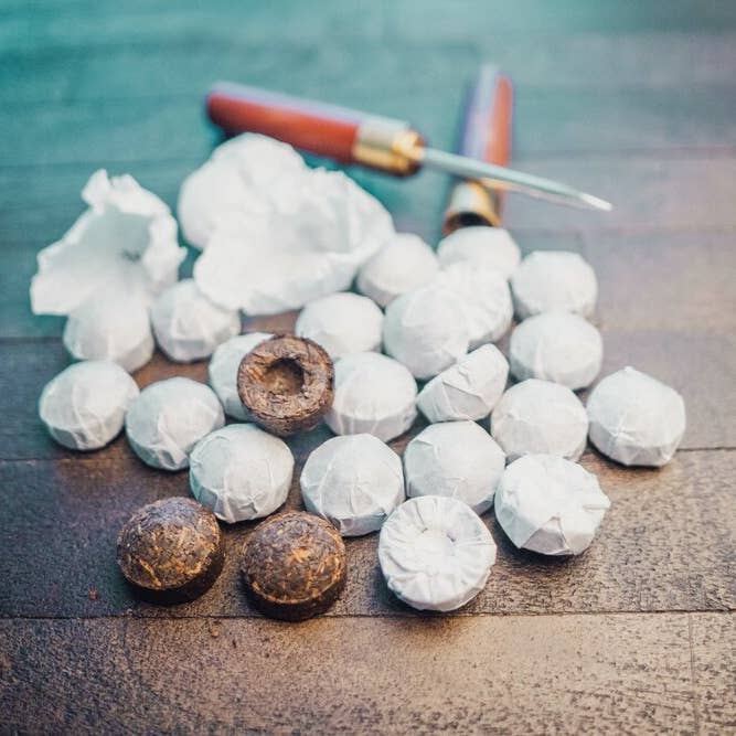 Western Immortal - Wholesale Loose Tea - Organic Tuo cha3